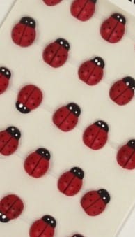 biedronki średnie 15mm (2).jpg