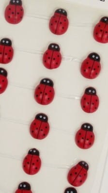 biedronki duże 19mm (2).jpg