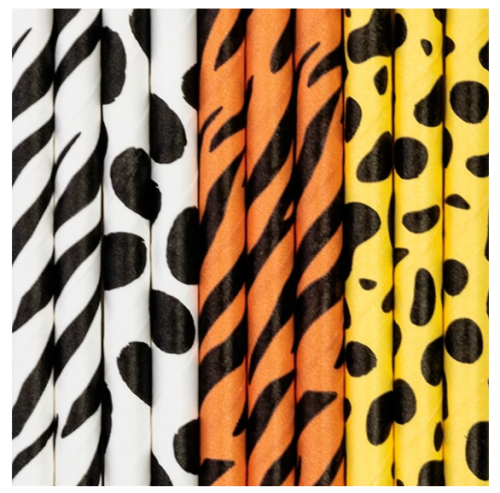 00011-removebg-preview (25).png