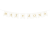 11-removebg-preview (4).png