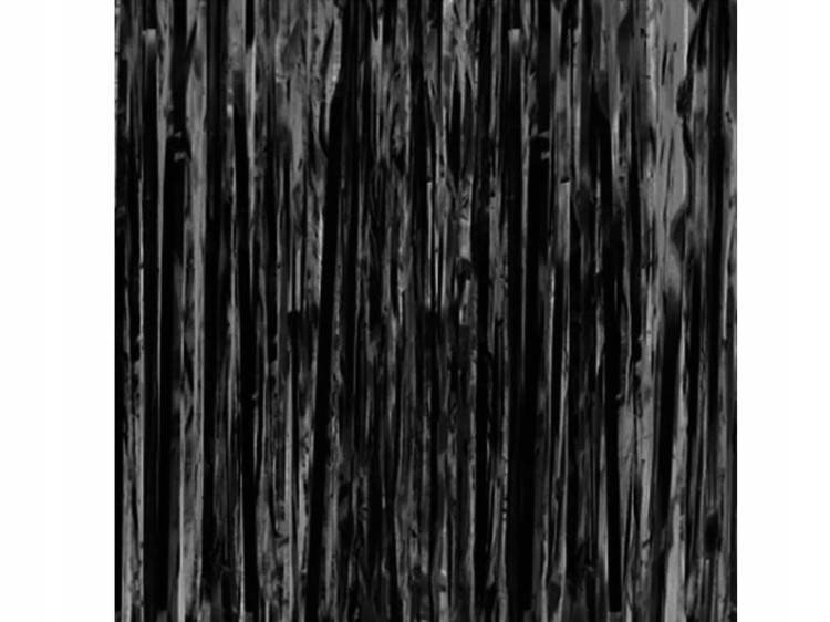74882b4e43b78c2ca6840c34f779.jpg
