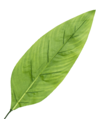 L25._S636-01-01-kopia 1.png