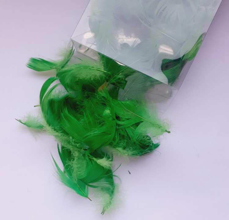 20221027_121320.jpg