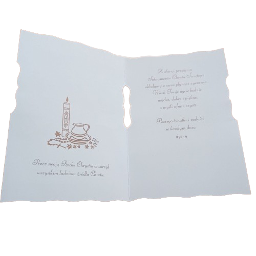 WhatsApp_Image_2023-02-08_at_17.13.47-removebg-preview.png