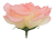 róza_11cm_krem_+_jasny_róż_W129-061-02-removebg-preview.png