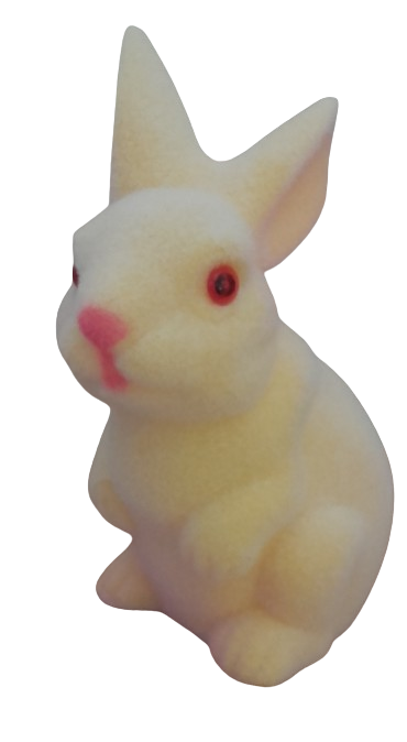 20240129_134013-removebg-preview.png