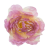 087-removebg-preview.png