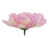 087A-removebg-preview.png