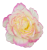 083-removebg-preview(1).png
