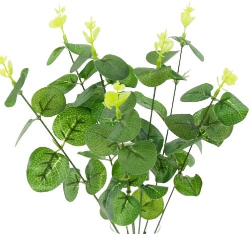 eukaliptus bukiet 35cm zielony.jpg