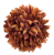 20240430_125604-removebg-preview(2).png