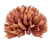 20240430_125615-removebg-preview(2).png