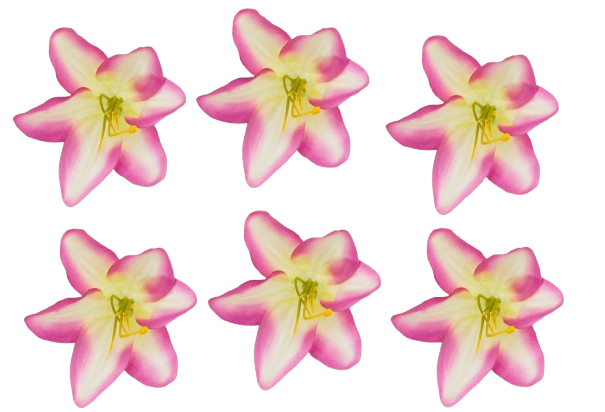 20240426_112934-removebg-preview(12).png