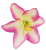 20240430_121005-removebg-preview(2).png