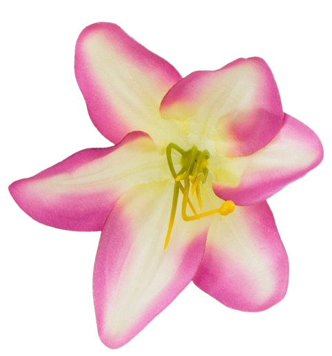 20240430_121005-removebg-preview(2).png