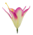 20240430_121024_0_-removebg-preview(4).png