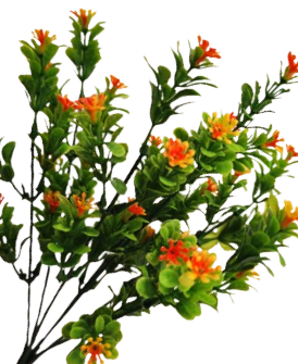 bukiet z pomarańczowo żółtymi kwiatuszkami 4.png