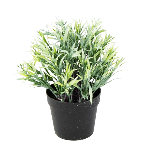 doniczka z liściami, gałązki goździka.png