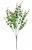 bukiet drobny eukaliptus zielony - 03