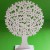 drzewko okrągłe białe.jpg