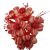 bukiet kwiatków czerwonych.png