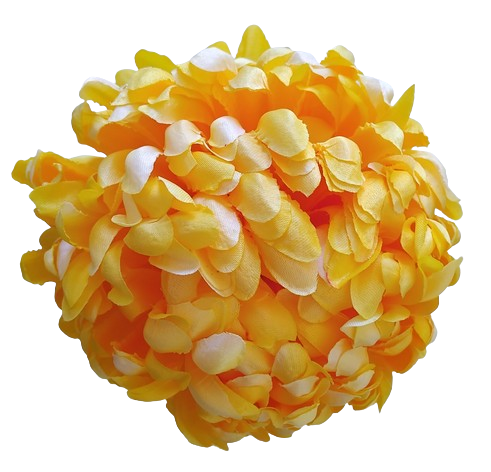 chryzantema ananas XL żółta słoneczna.jpg