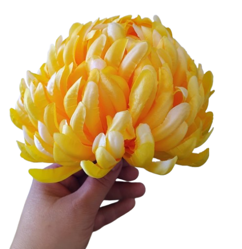 chryzantema ananas XL żółta słoneczna.jpg - 01