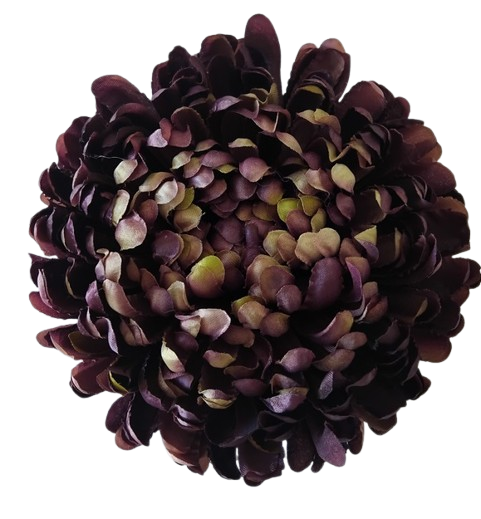 chryzantema ananas XXL bakłażanowa 18cm.jpg