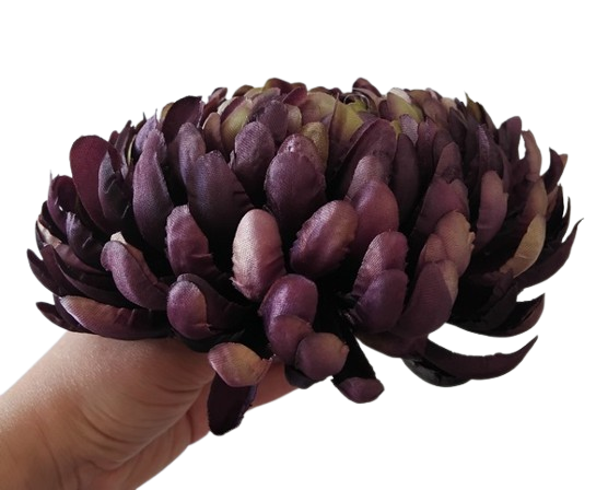 chryzantema ananas XXL bakłażanowa 18cm.jpg -01