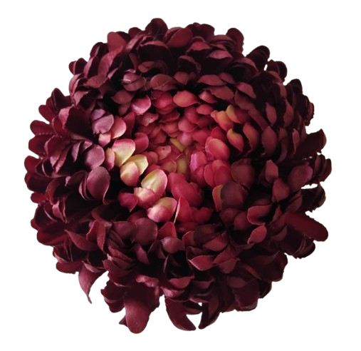 chryzantema ananas XXL bordowa 18cm.jpg