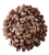chryzantema ananas XXL beżowa 18cm.jpg