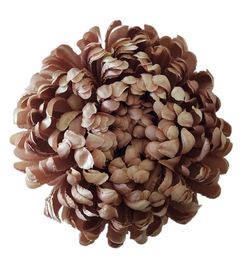 chryzantema ananas XXL beżowa 18cm.jpg
