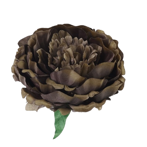 piwonia 15cm brązowa cieniowana, odcienie brązowego.png