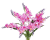 bukiet frezji G35.png