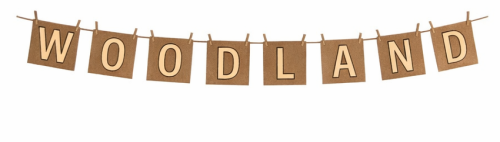 baner woodland, baner dekoracyjny, girlanda dekoracyjna, dekoracje woodland, dekoracje boho, dekoracje rustykalne, dekoracje eko, baner z napisem, baner z klamerkami, dekoracje z naturalnego drewna, dekoracje do wnętrz, dekoracje pokoju dziecięcego