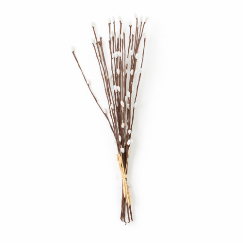 pęczek bazi białych, kotki wielkanocne, baźki, białe kotki, bazia, bazie.png