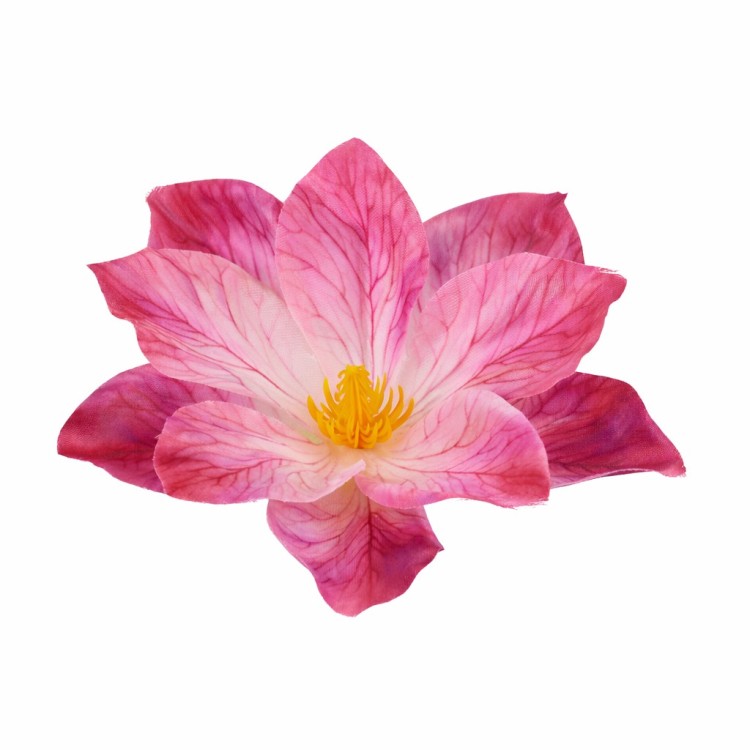 clematis 14cm różowy odcienie, klematis główka kwiatowa, clematis pajęczyna,.jpg