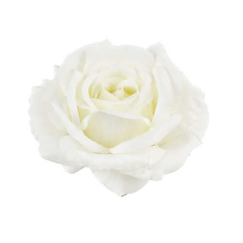 róża 10cm śmietankowa, główka kwiatowa róży śmietankowej, ecru kwiat.