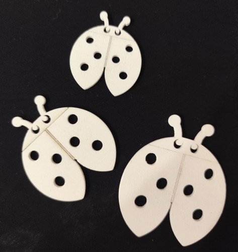 drewniane biedronki mix, białe biedronki z drewna.jpg