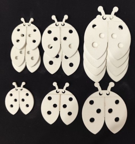 drewniane biedronki mix, biedronki z drewna, białe biedry.jpg