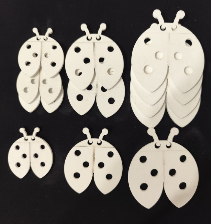 drewniane biedronki mix, biedronki z drewna, białe biedry.jpg