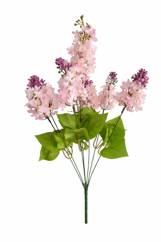 bukiet bzów jasno różowych, bez pudrowy róż.png