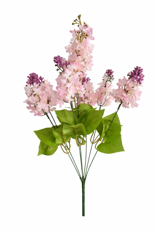 bukiet bzów jasno różowych, bez pudrowy róż.png