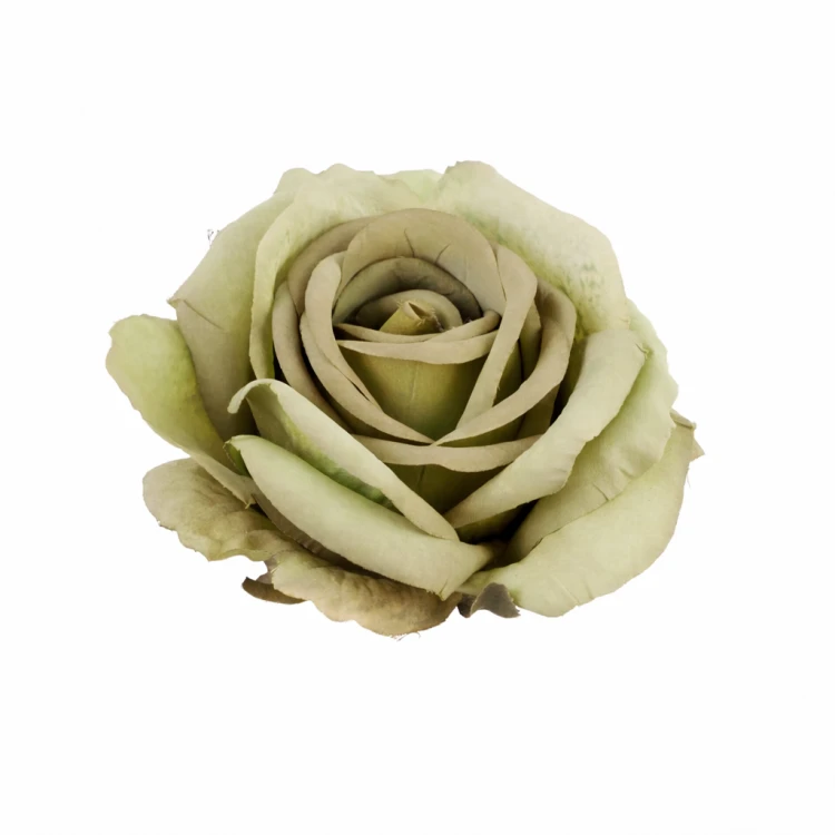 róża 10cm zielona, szałwiowa, odcienie zieleni, główka kwiatowa zielonej róży.jpg