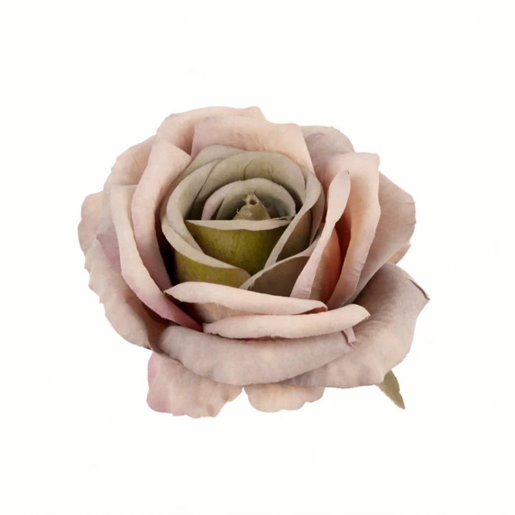 róża 10cm odcienie jesieni, herbaciany zgaszony, róż antyczny, mleczny jesienne.jpg