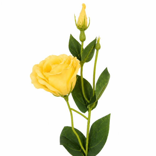 eustoma gałązka żółta 55 cm, gałązka eustomy .png
