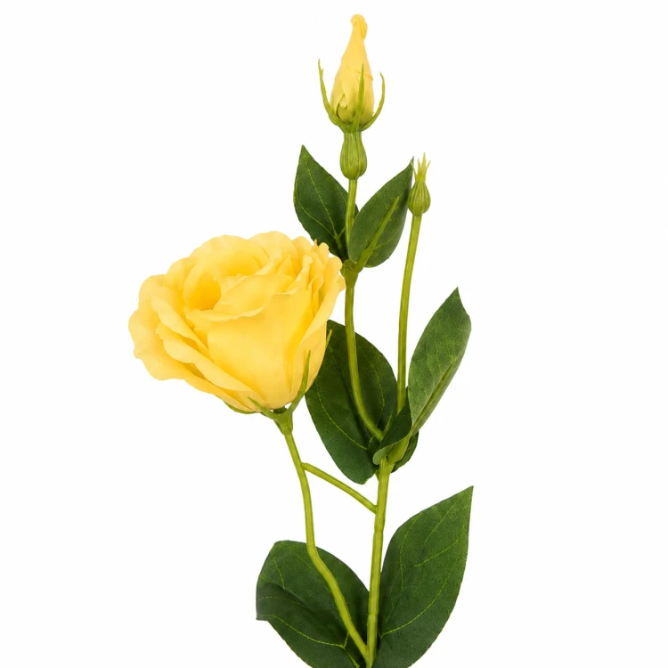 eustoma gałązka żółta 55 cm, gałązka eustomy .png