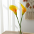 KALLA,-KALIA-ŻÓŁTA-+-POMARAŃCZOWA-16cm-x-6cm-calla-piankowa,-Sztuczny-kwiat-Sztuczna-główka-kwiatowa,-wyrobowa-edited_4.png