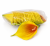 24 szt. kalla żółta pomarańczowa, calla, kalia.png