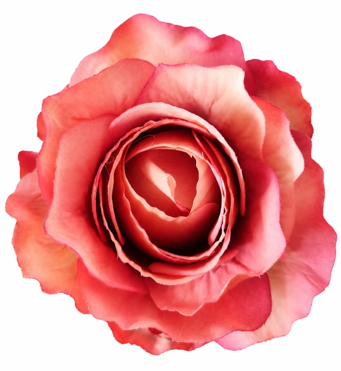 róża 11 cm koralowa różowo czerwona, sztuczna główka kwiatowa.png